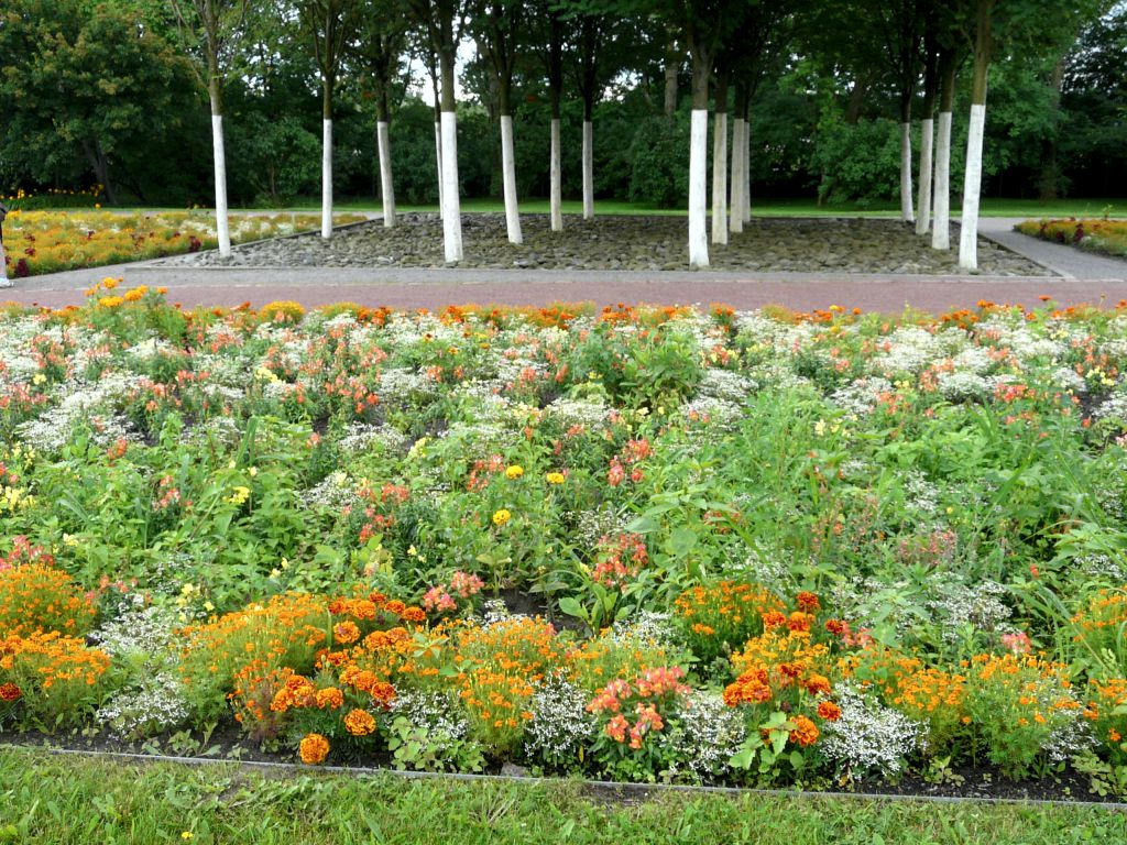 Colourful perennial bed in the park