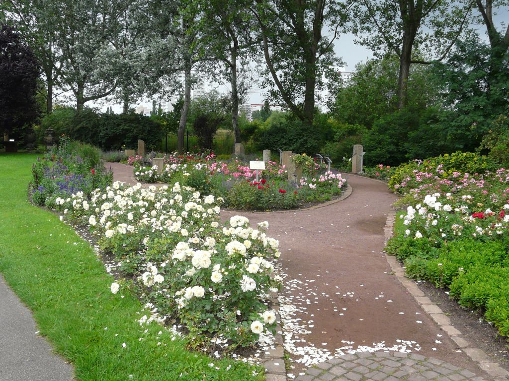 Blooming park arrangement with a predominance of roses