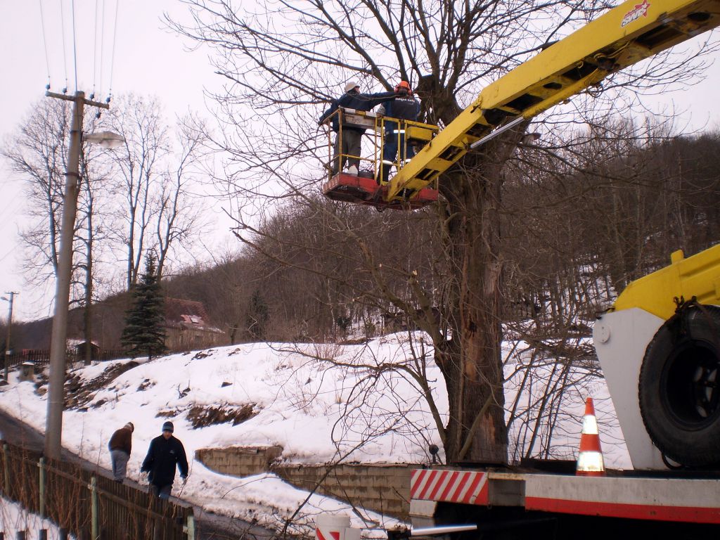 Removing trees from platform cars