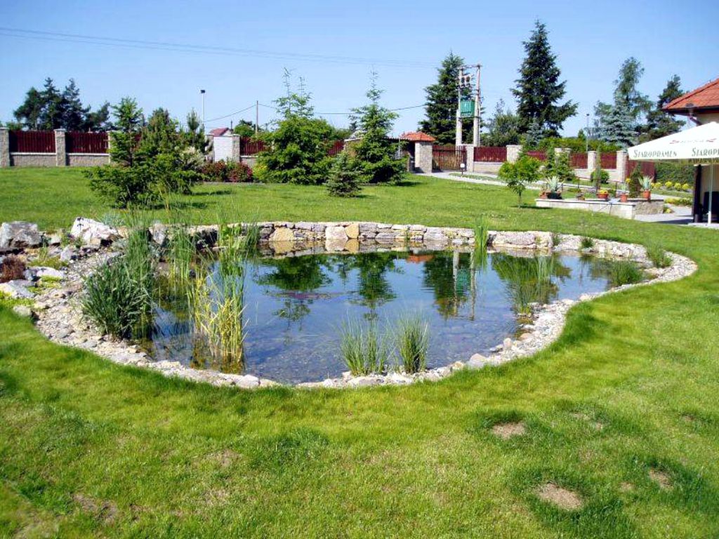 Ornamental pond in the garden