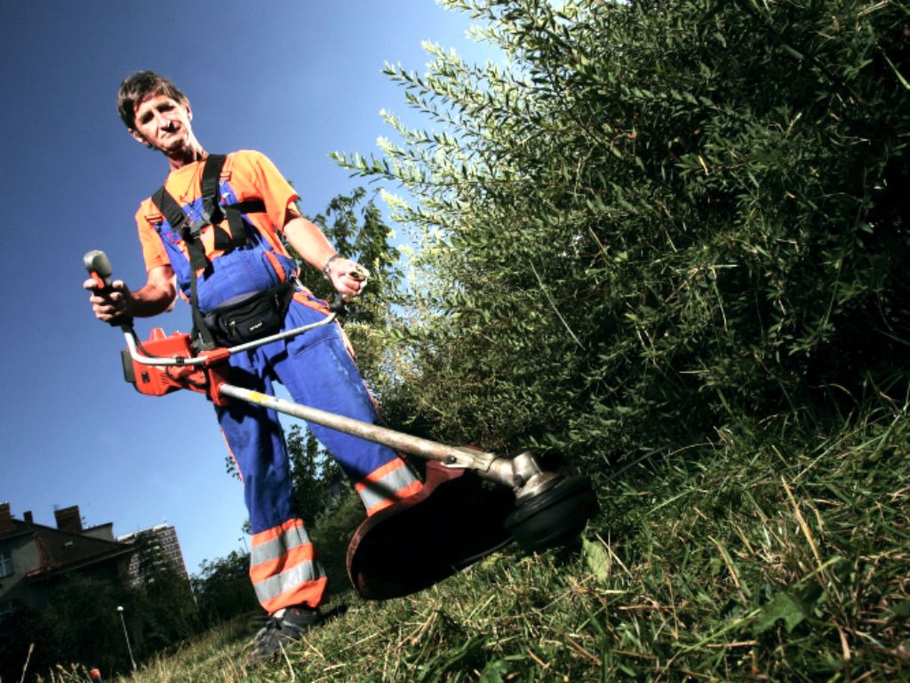 Cutting overgrown grass with a brushcutter