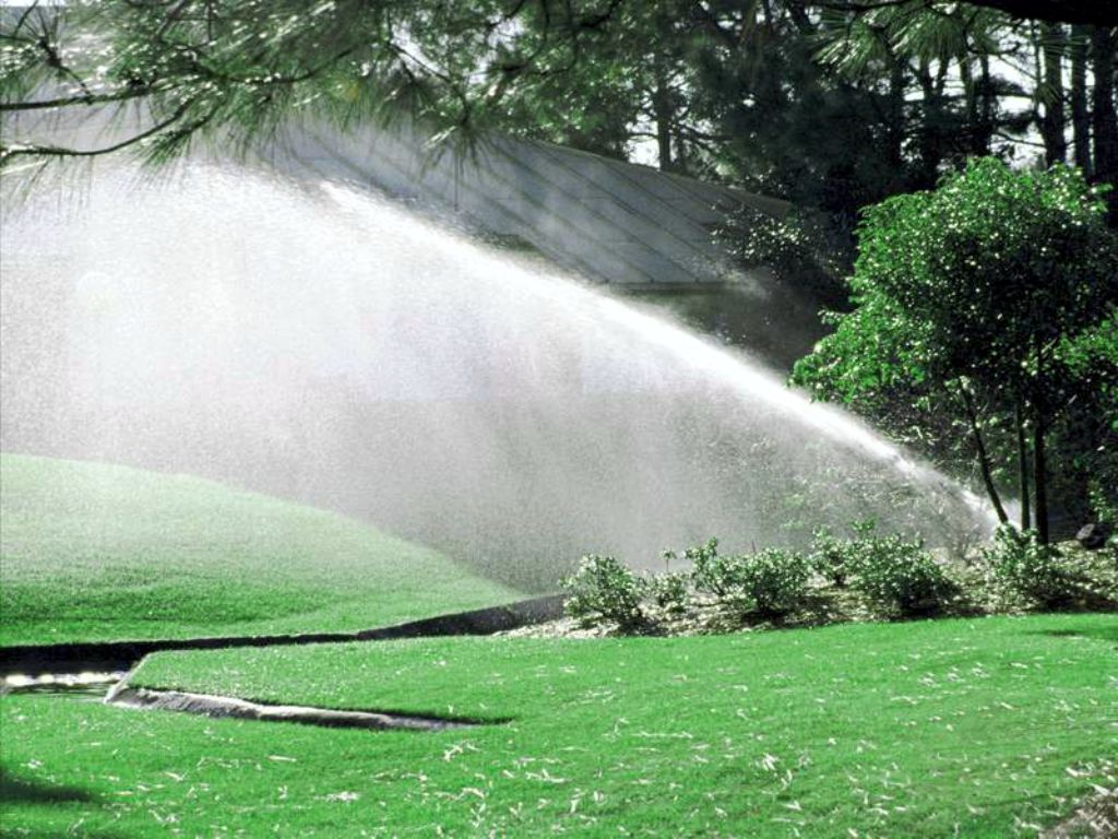Demonstration of irrigation in the park