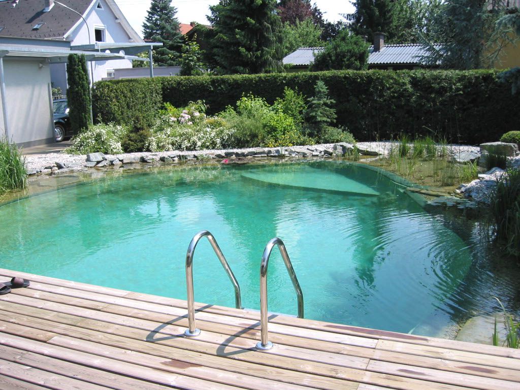 Bathing Biotope with connection to the terrace at the house.