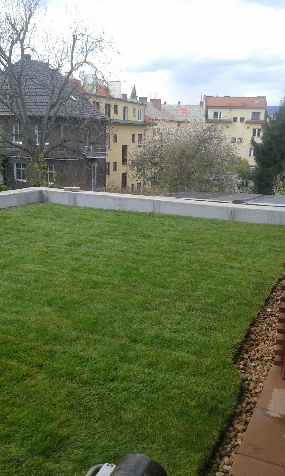 Roof garden with carpeted lawn