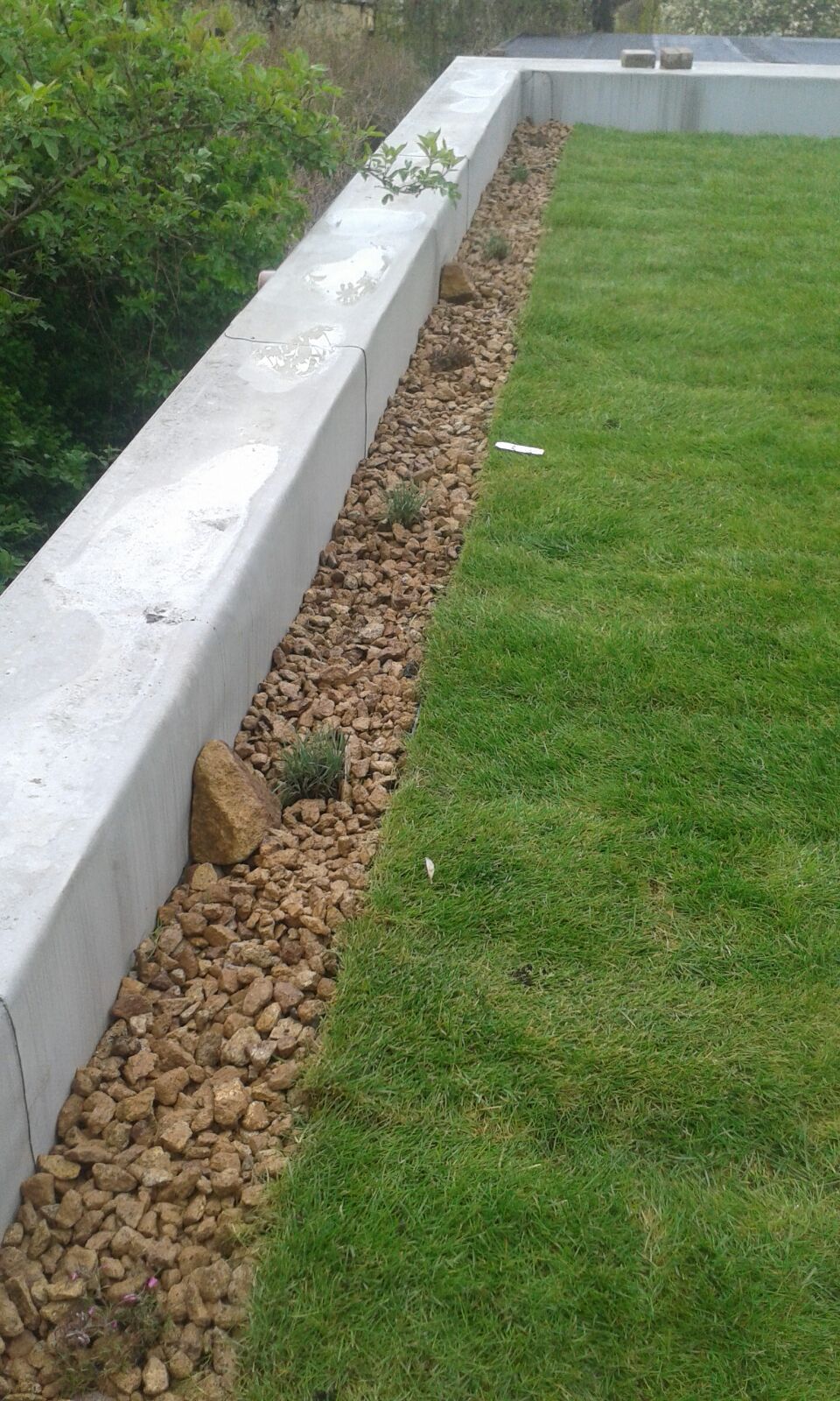 Roof garden with carpeted lawn