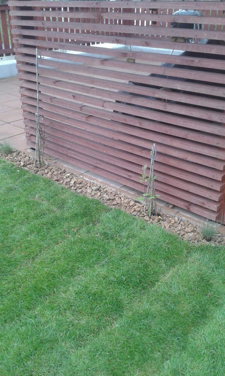 Roof garden with carpeted lawn
