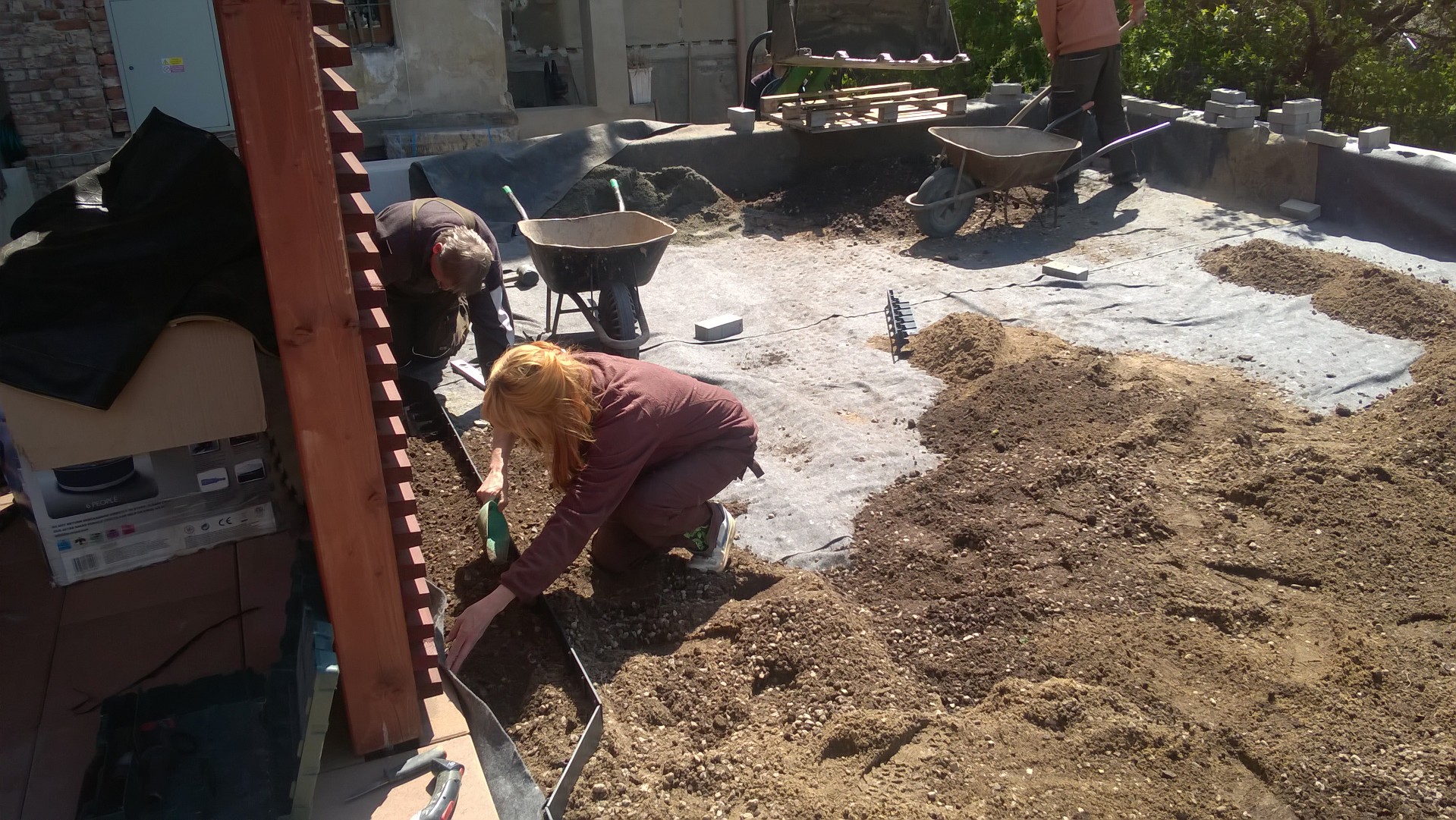 Roof garden with carpeted lawn