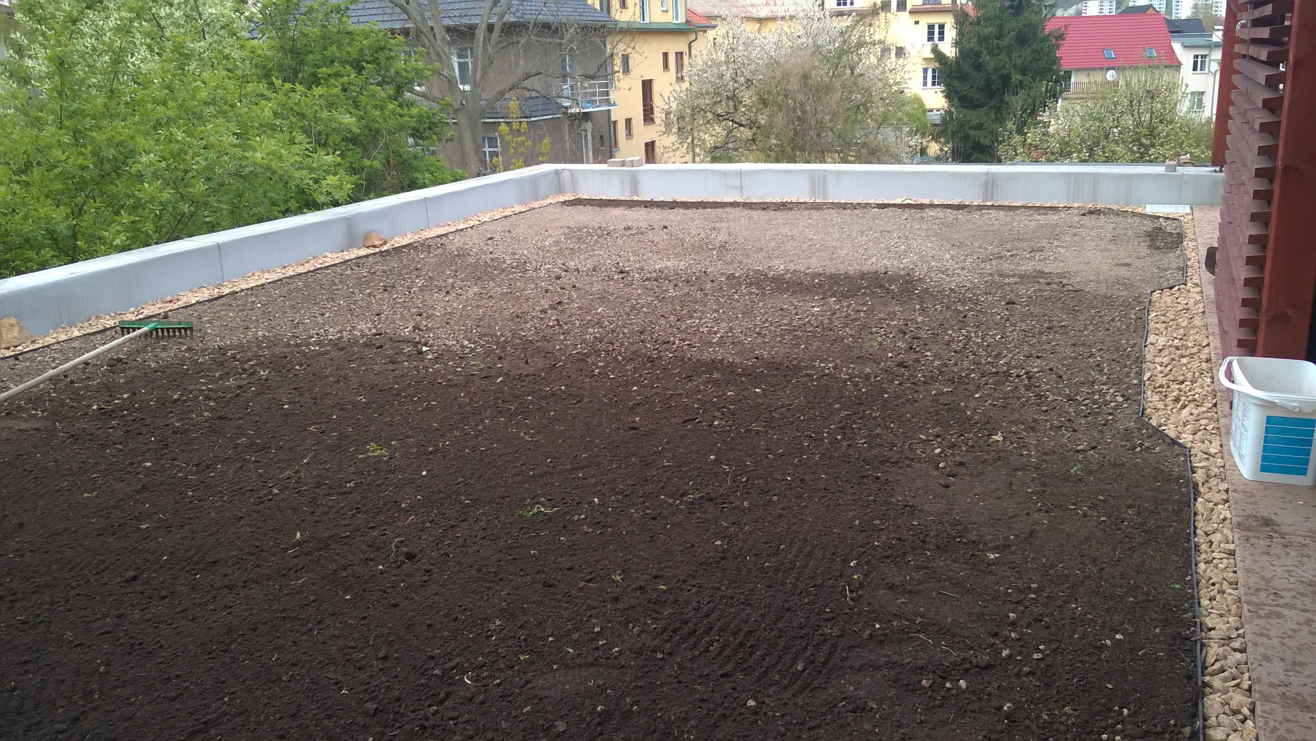 Roof garden with carpeted lawn