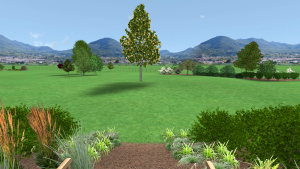 Projekt 3D zahrady