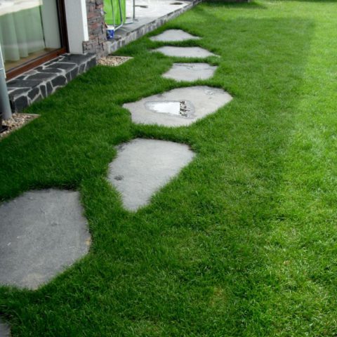 Basalt stepping stones in lawn