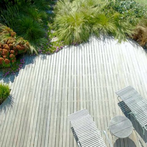 Terrace with dense beautiful grass planted with perennials
