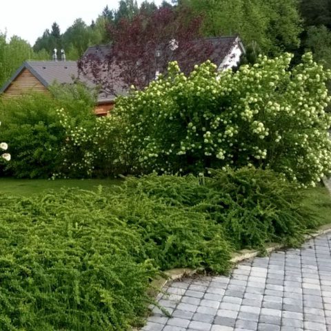Nature garden at Orlická dam in Trhovky