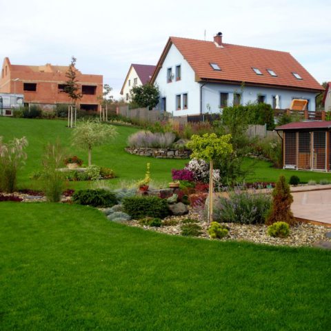 View of part of the garden, showing the transition between sown and carpeted lawn