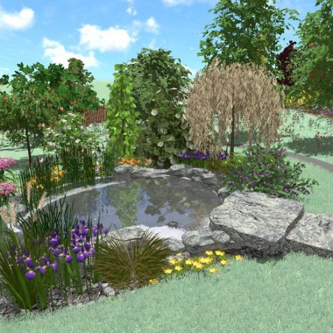 Pond in the garden with a stone bridge